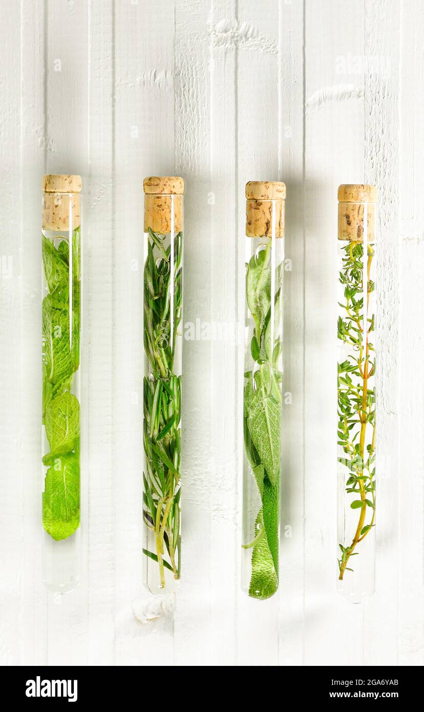 Conjunto de cuatro tubos de ensayo con infusiones de hierbas medicinales. En pizarras blancas, verticalmente paralelas. Foto de stock