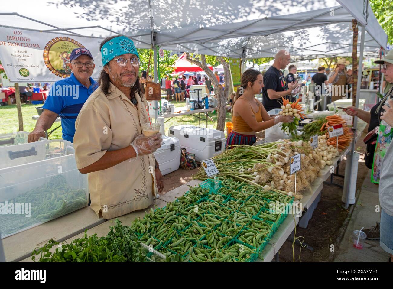 Albuquerque, Nuevo México - El Mercado de los Cultivadores del Centro, celebrado los sábados en Robinson Park. Las verduras están a la venta en el stand de Los Jardines de Moktez Foto de stock
