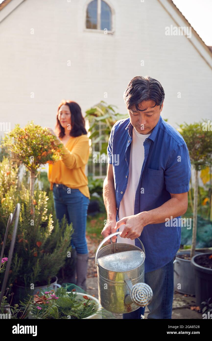 Pareja asiática madura en el trabajo riego y cuidado de plantas en el jardín en casa Foto de stock