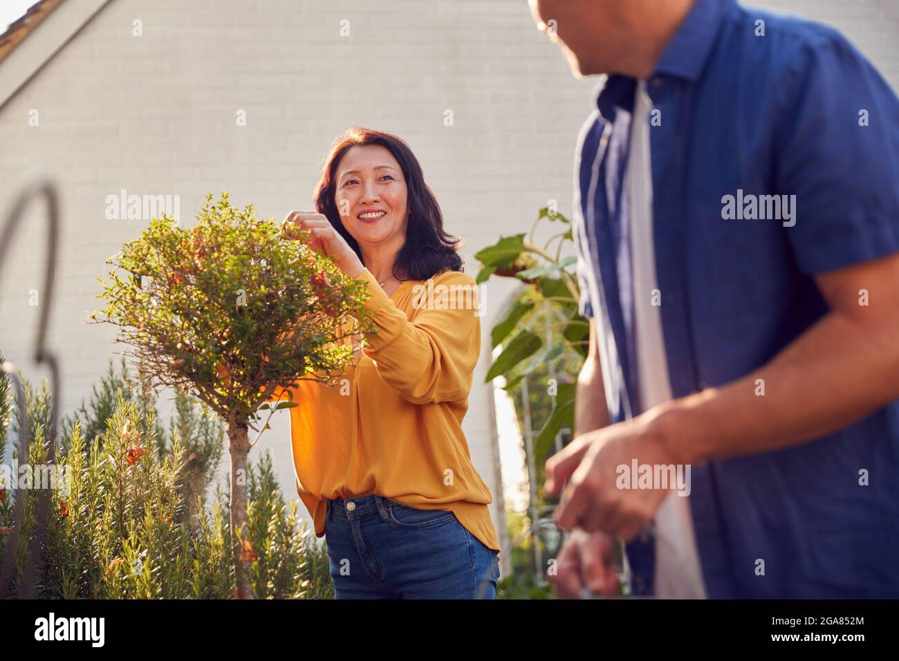 Close Up of Mature Asian Couple at Work Riego y cuidado de plantas en el jardín en casa Foto de stock
