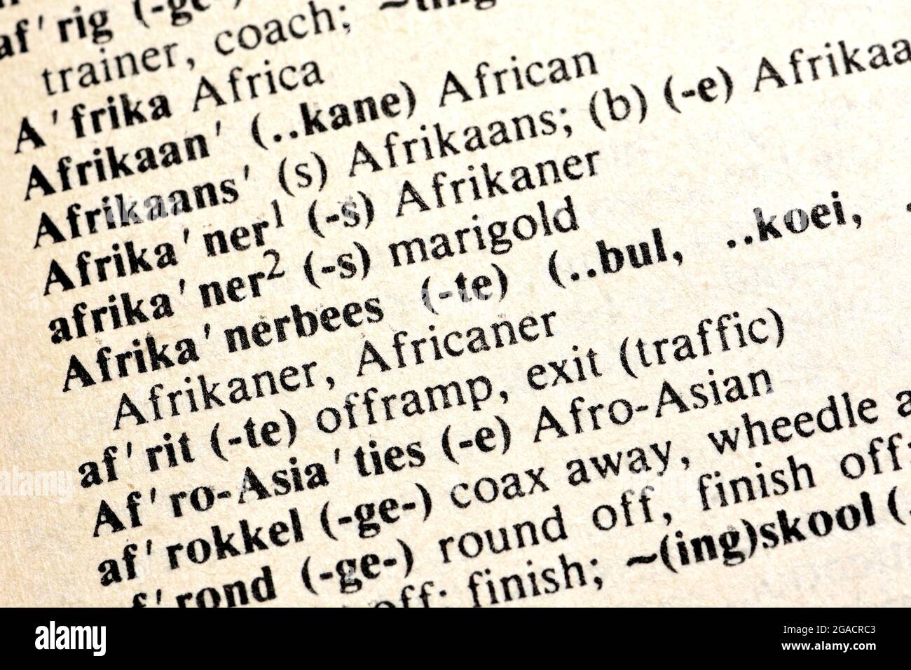 Afikaans / Afrikaner traducido en un diccionario Afrikaans-Inglés Foto de stock