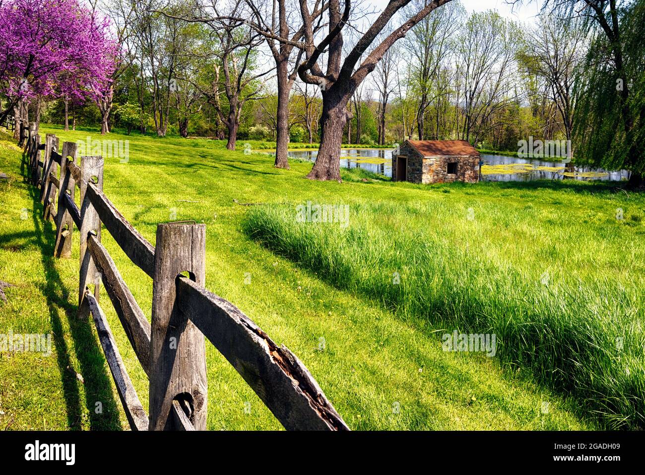Milkhouse en un estanque durante la primavera, Tewksbury, Condado de Hunterdon, Nueva Jesey Foto de stock