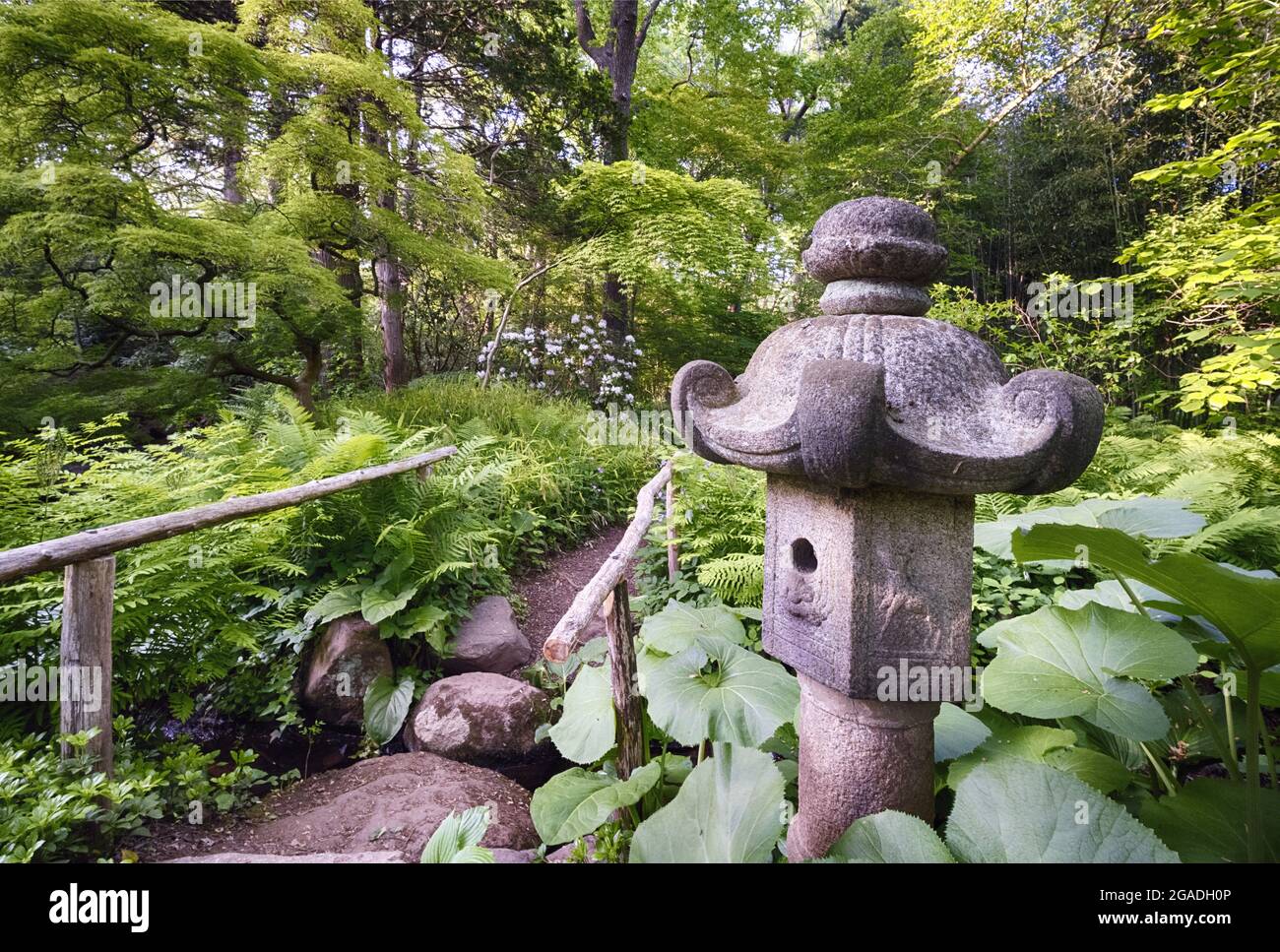 Sendero Jardín Japonés con una Linterna de Piedra, Willowwood Arboretum, Somerset County, Nueva Jersey Foto de stock