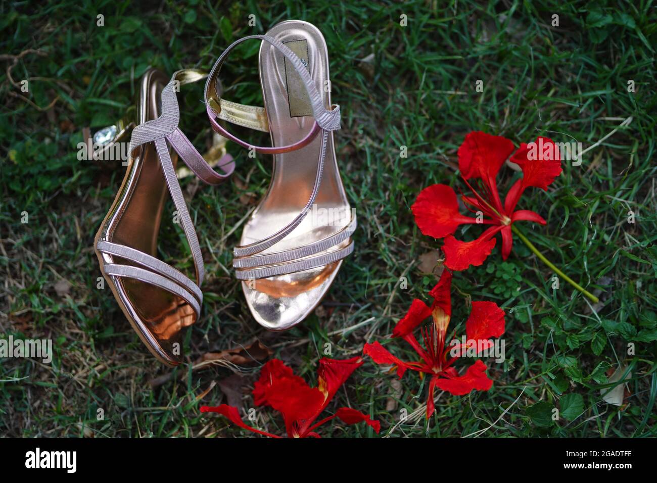 Tiro de alto ángulo de sandalias de mujer sobre hierba verde y amapolas  rojas Fotografía de stock - Alamy