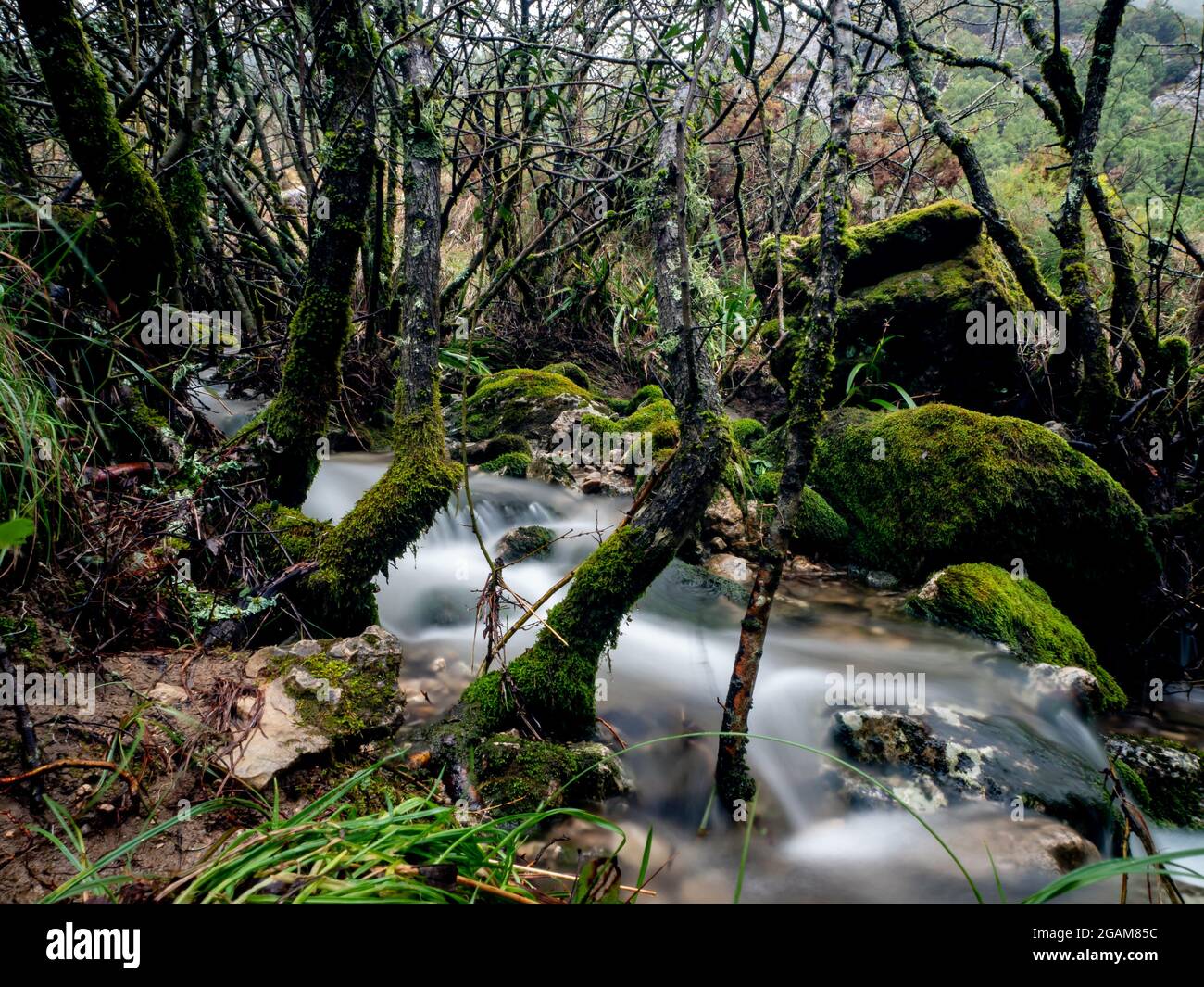 Guadalete river fotografías e imágenes de alta resolución Alamy