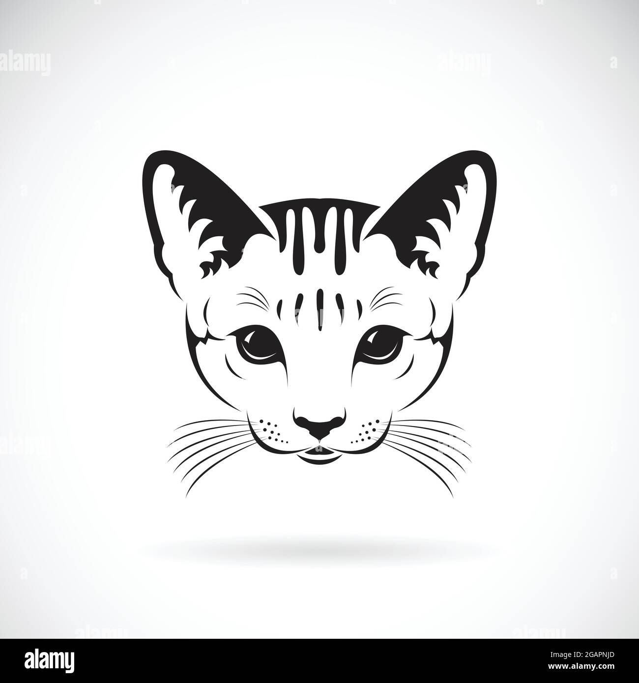Vector de una cara de gato sobre fondo blanco, Pet. Animales. Ilustración  de vector en capas fácil de editar. Animales. Mascotas Imagen Vector de  stock - Alamy
