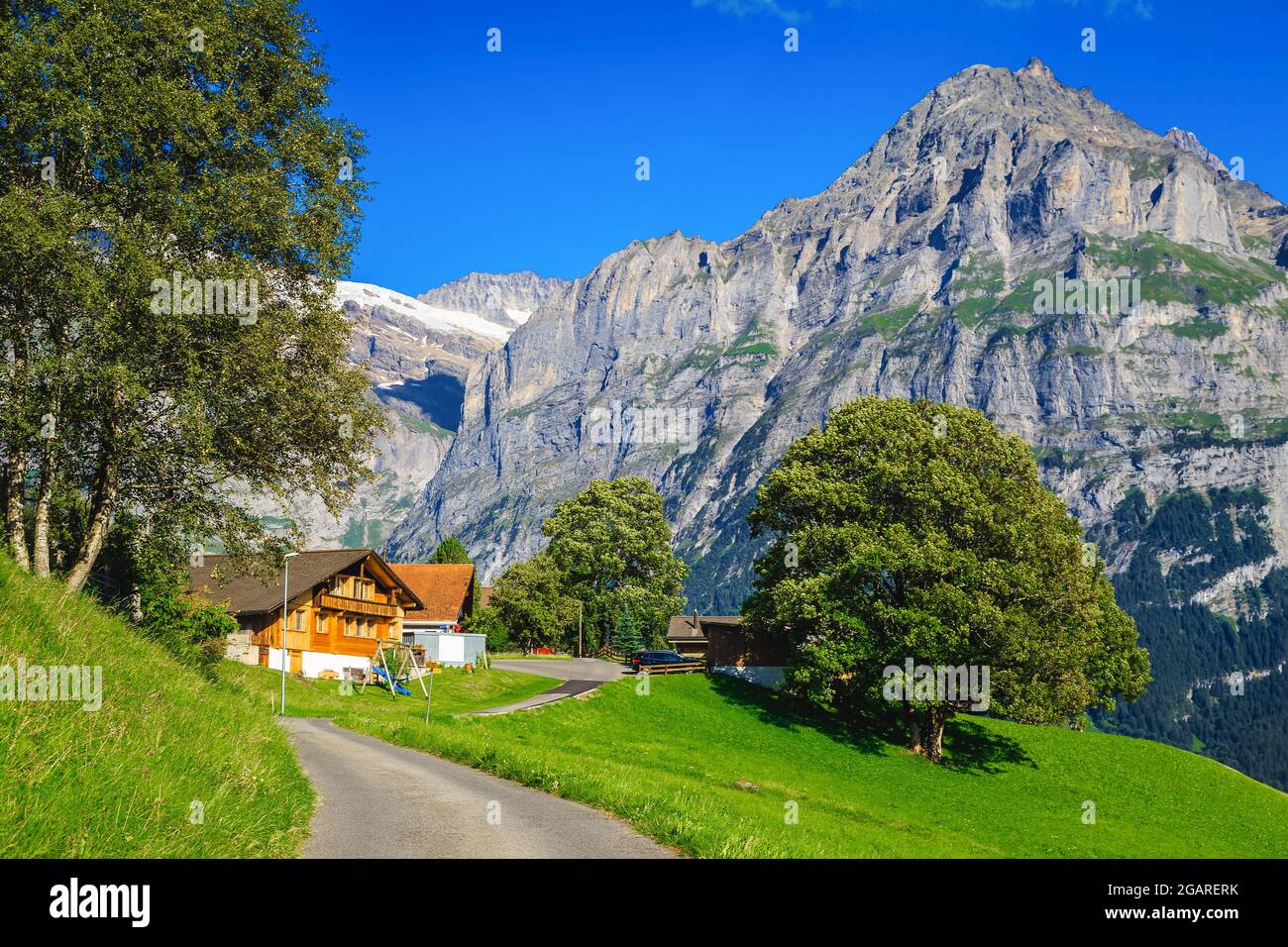 Casas de madera y campos verdes en la pendiente. Carretera rural estrecha en la colina y altas montañas en el fondo, Grindelwald, Oberland bernés, Switzerlan Foto de stock