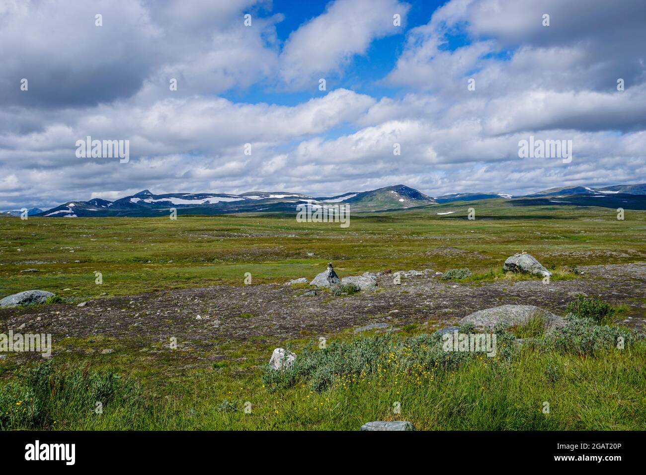 Una vista del paisaje salvaje de la tundra de la meseta de Stekenkokk en Lappland sueco Foto de stock
