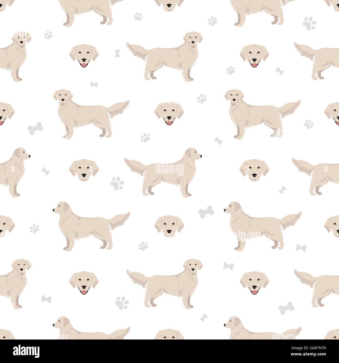 Perros Golden Retriever en diferentes poses y colores de abrigo sin  costuras patrón. Ilustración vectorial Imagen Vector de stock - Alamy
