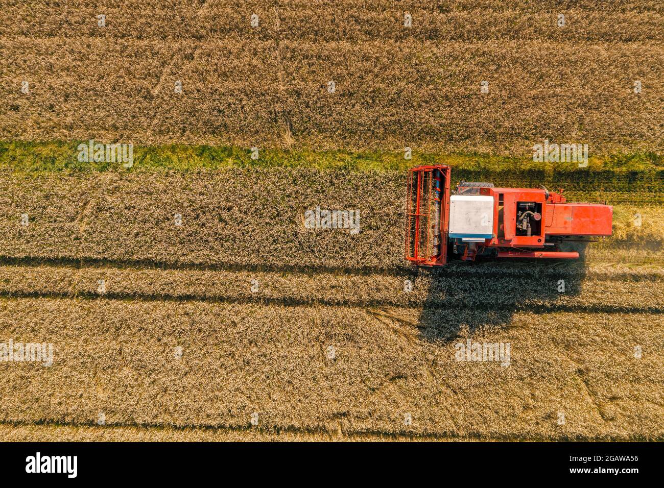 Drone la imagen de la cosechadora en el campo Foto de stock