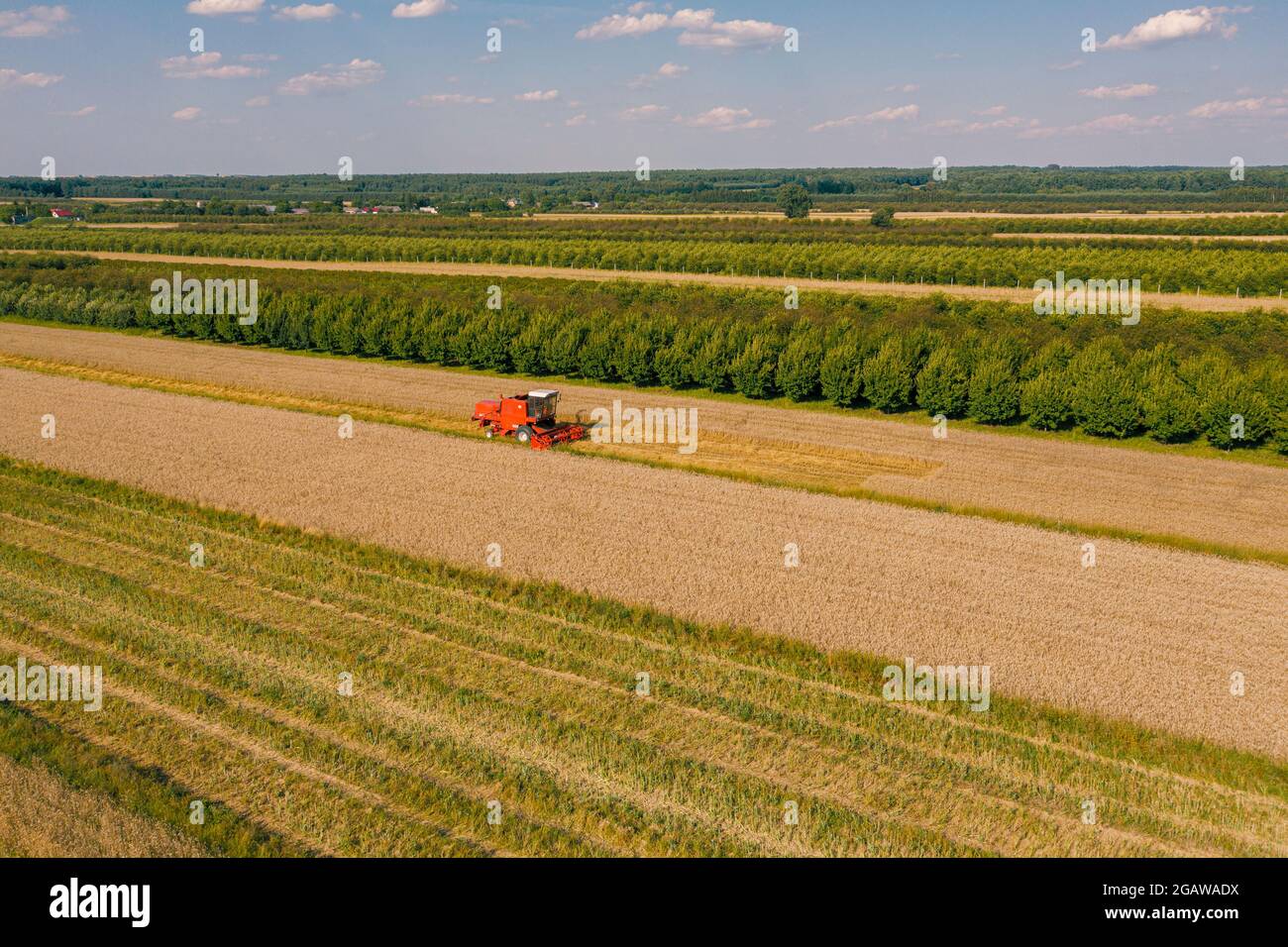 Drone la imagen de la cosechadora en el campo Foto de stock