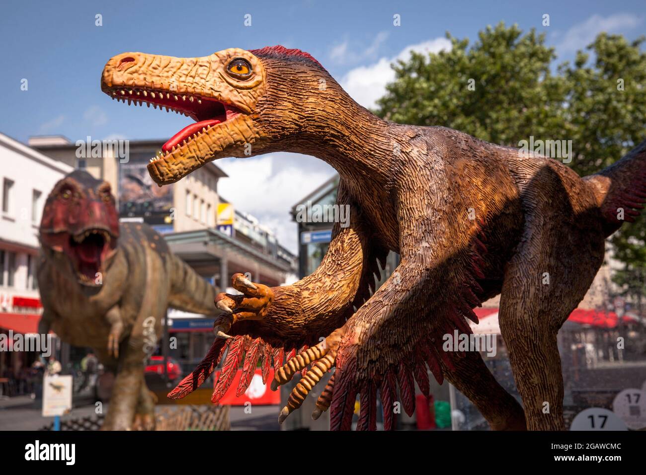 Modelos de dinosaurios de tamaño natural expuestos en varios lugares en el centro de la ciudad de Bochum, aquí: Velociraptor y en el fondo Tyrannosaurus, Norte Foto de stock