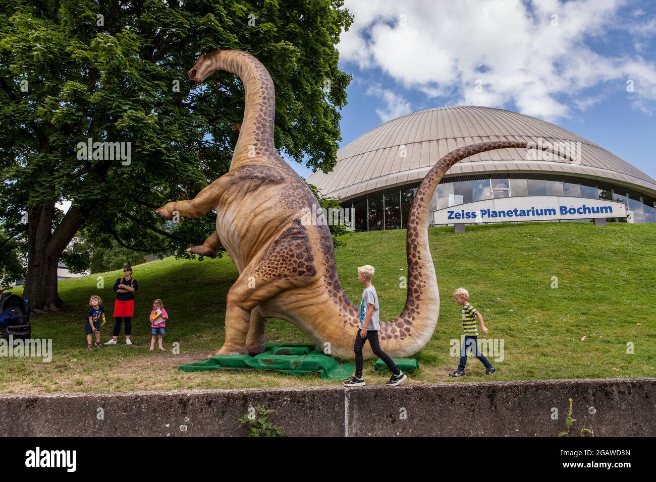 Modelos de dinosaurios de tamaño natural expuestos en varios lugares en el centro de la ciudad de Bochum, aquí: Apatosaurus o también llamado Brontosaurus en frente de la Foto de stock