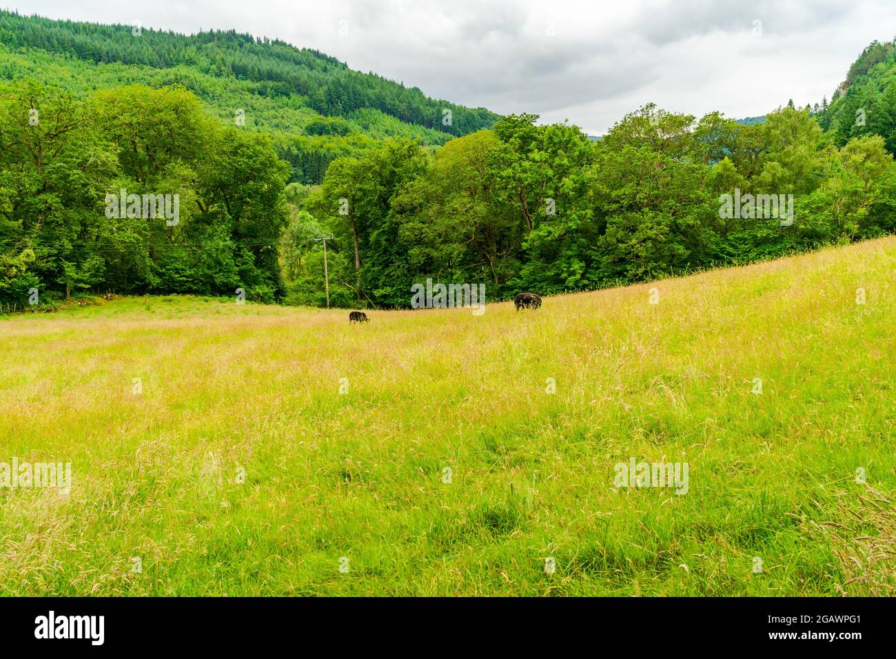 Vista del campo en la región rural de Snowdonia en el noroeste de Gales Foto de stock