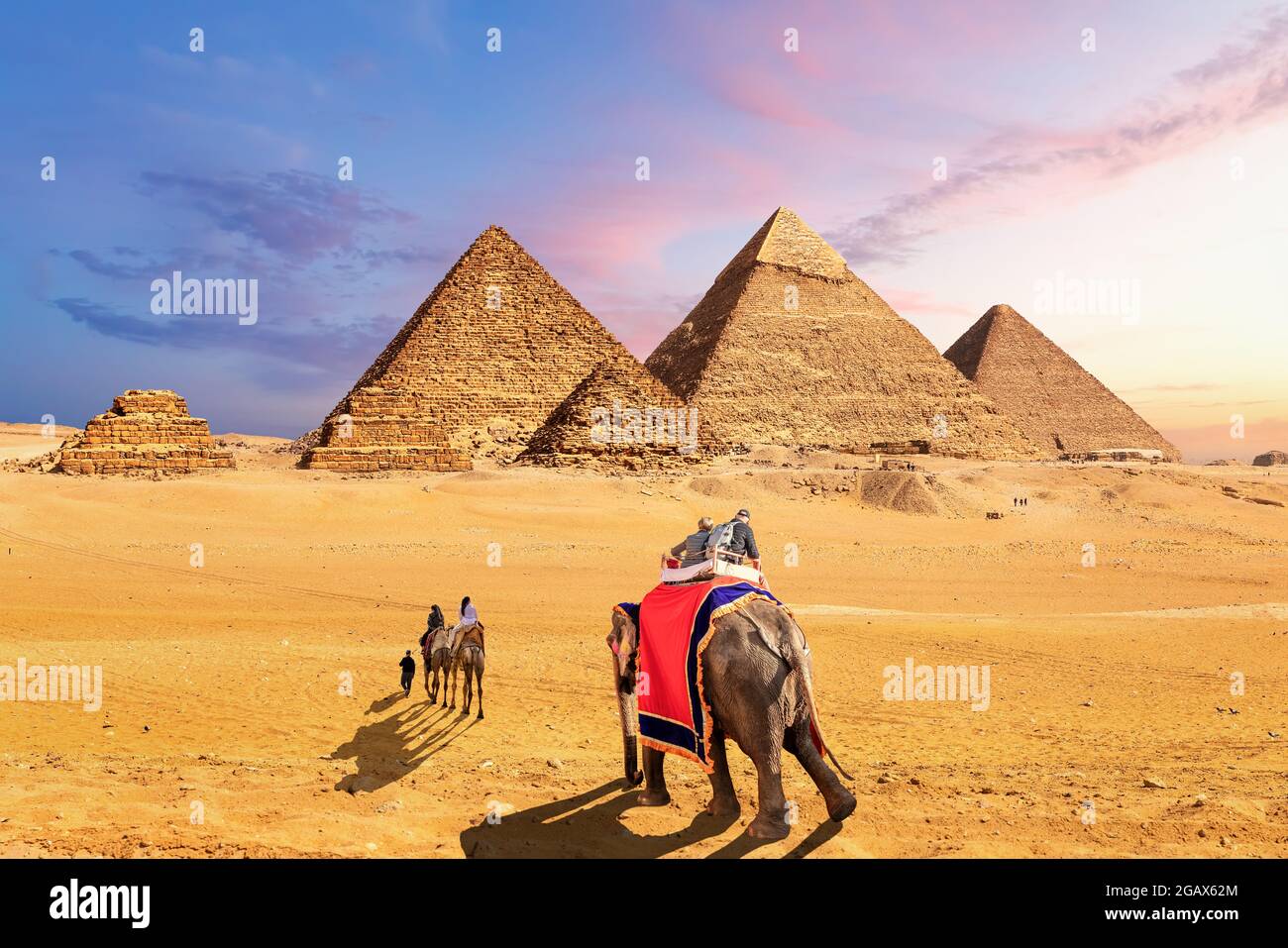 Elefantes y camellos en el desierto cerca de las Pirámides de Giza, Egipto. Foto de stock