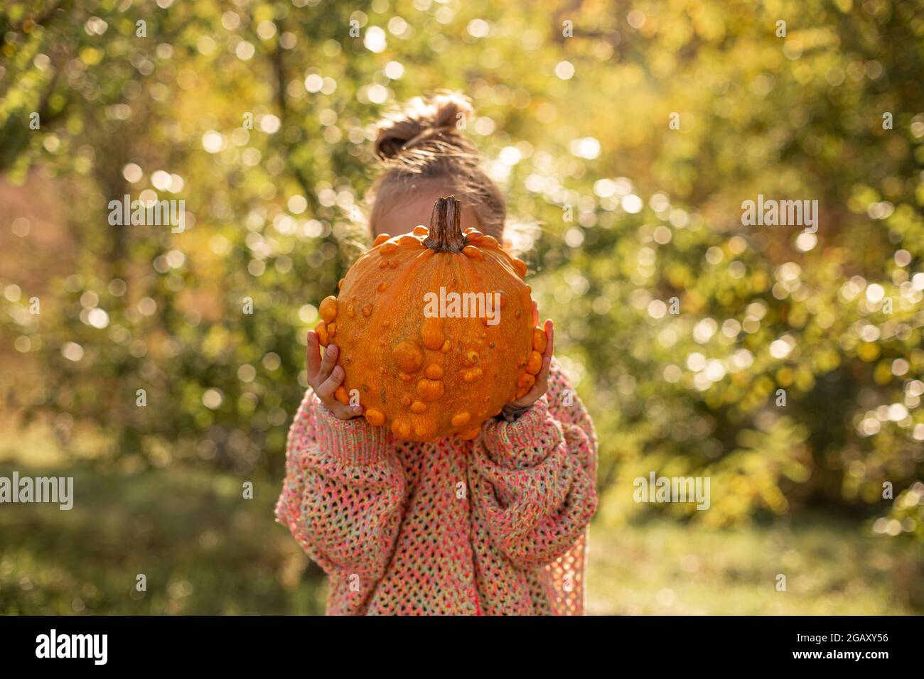 Calabaza naranja deformada y fea en las manos de un niño. Foto de stock