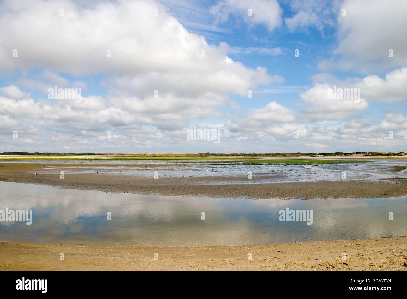 Paisaje pantanoso en la reserva natural De Slufter, Nationaal Park Duinen van Texel en la isla de Texel, Holanda del Norte, Holanda Foto de stock