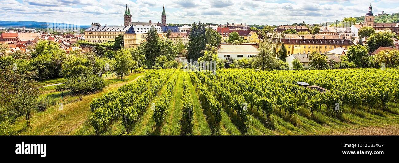 Vista de la ciudad de Bamberg en Baviera desde Michaelsberg con vides en primer plano Foto de stock