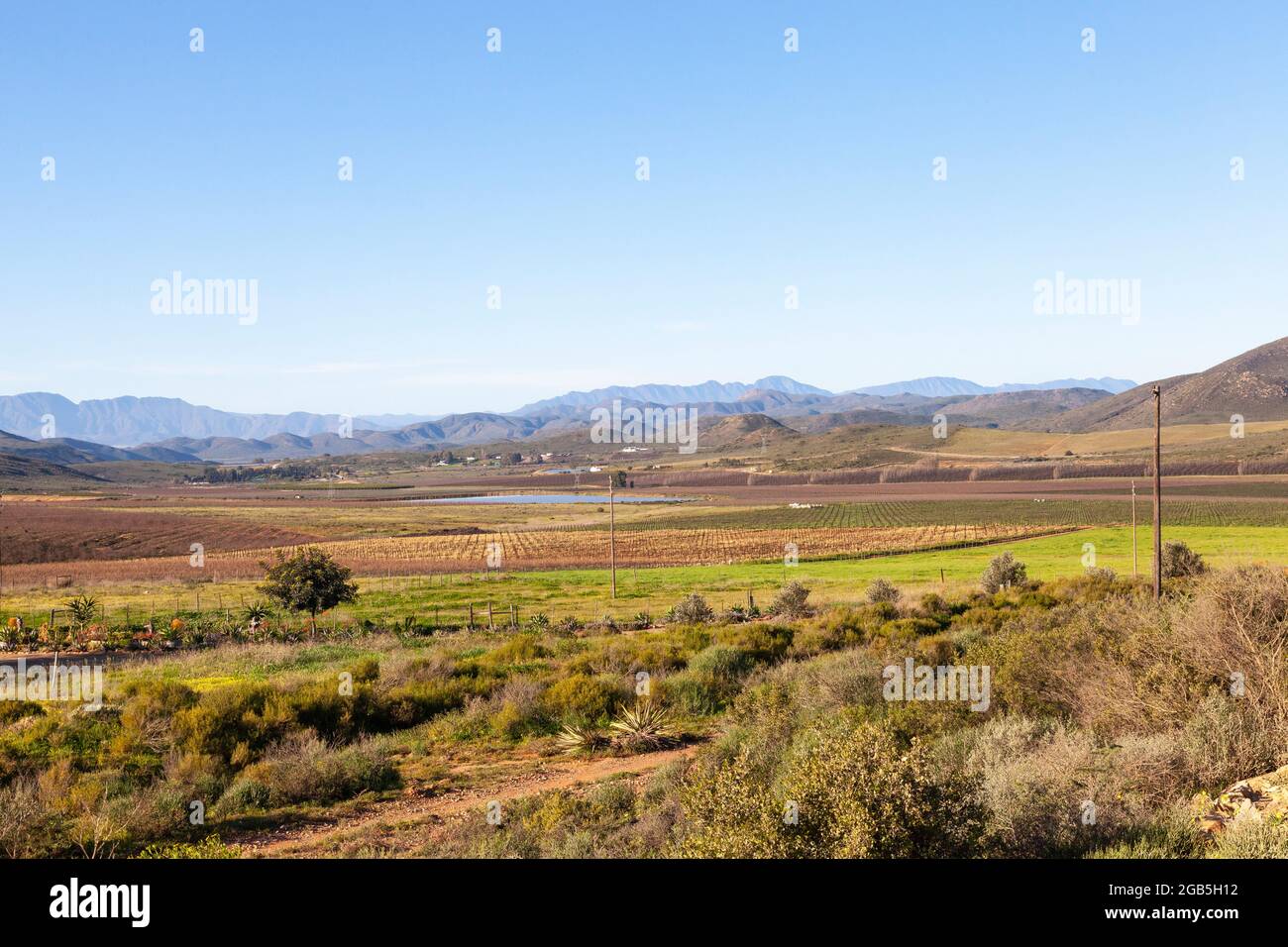 Viñedos en el Valle McGregor con vistas a las montañas Langeberg, Western Cape Winelands, Sudáfrica durante el invierno Foto de stock