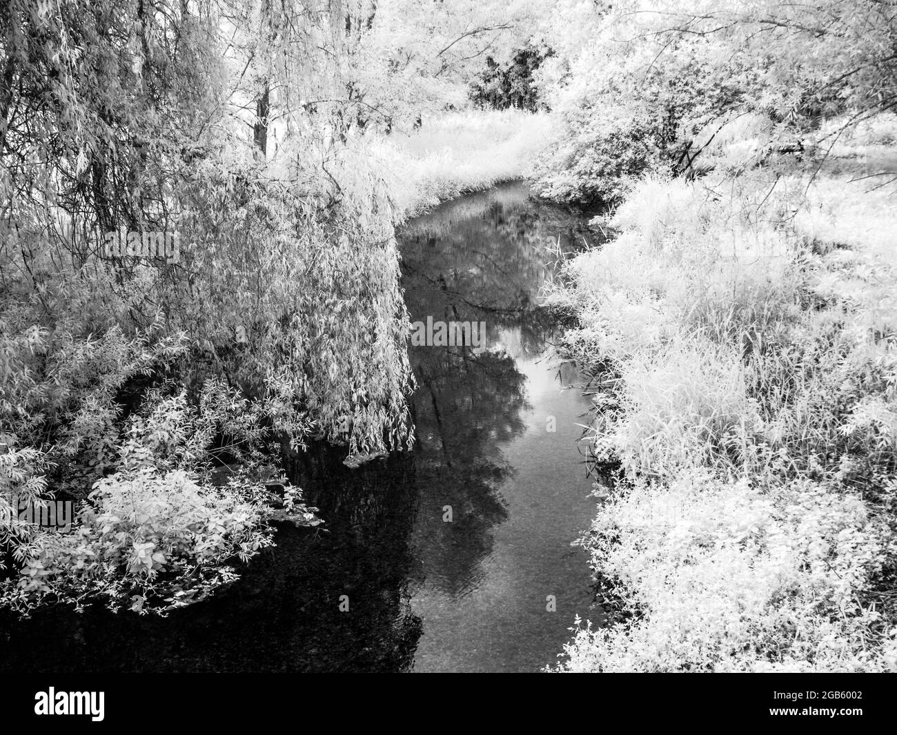 El río Kennett cerca de Marlborough en Wiltshire, filmado en infrarrojo. Foto de stock