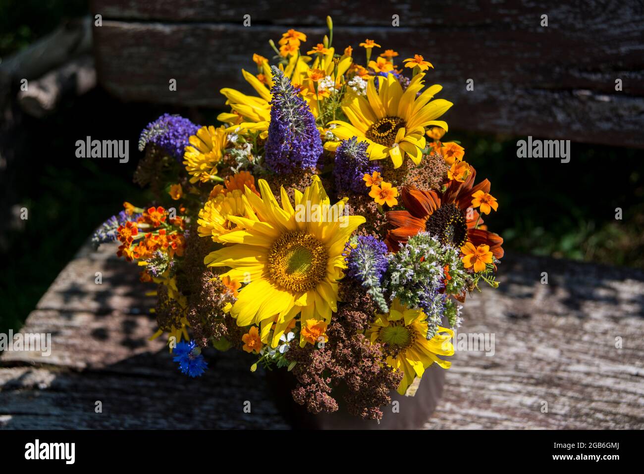 Ramo de flores, girasol, mariposa y tagetes Foto de stock