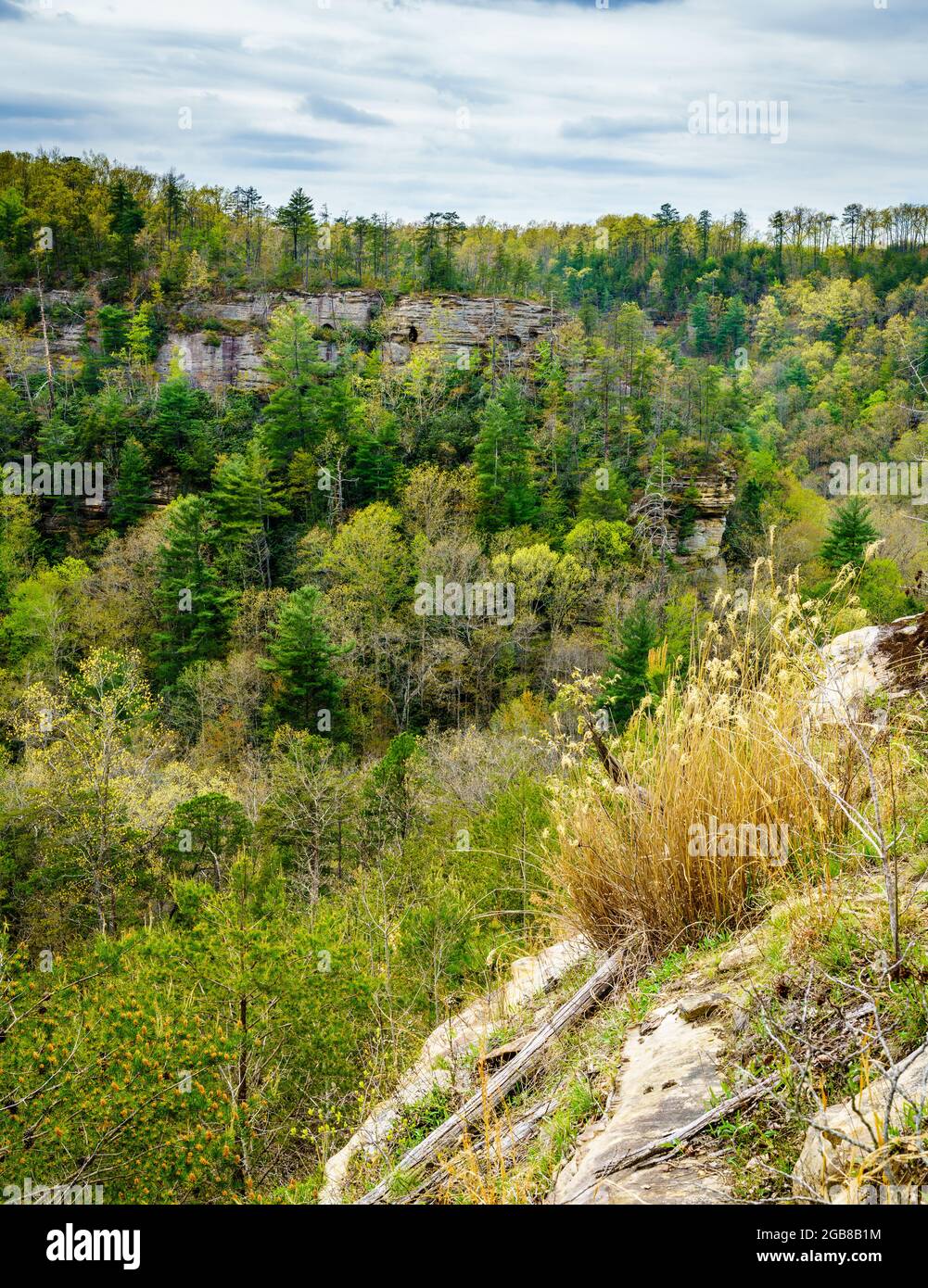 Vista panorámica de las formaciones de Red River Gorge en Kentucky en primavera Foto de stock