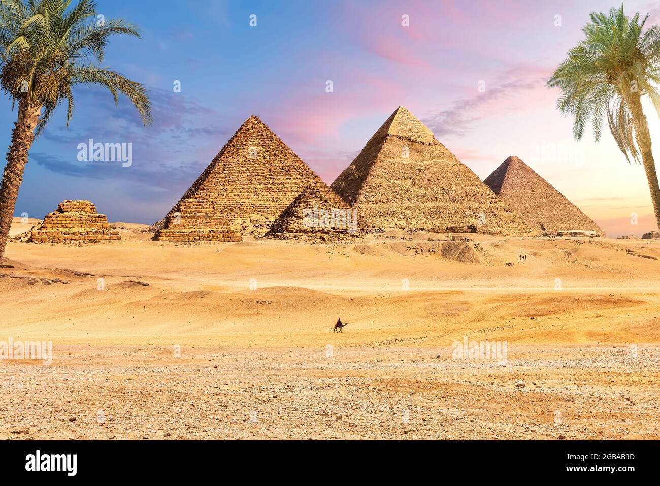 Famosas Grandes Pirámides de Egipto detrás de las palmeras, Giza, distrito de El Cairo. Foto de stock