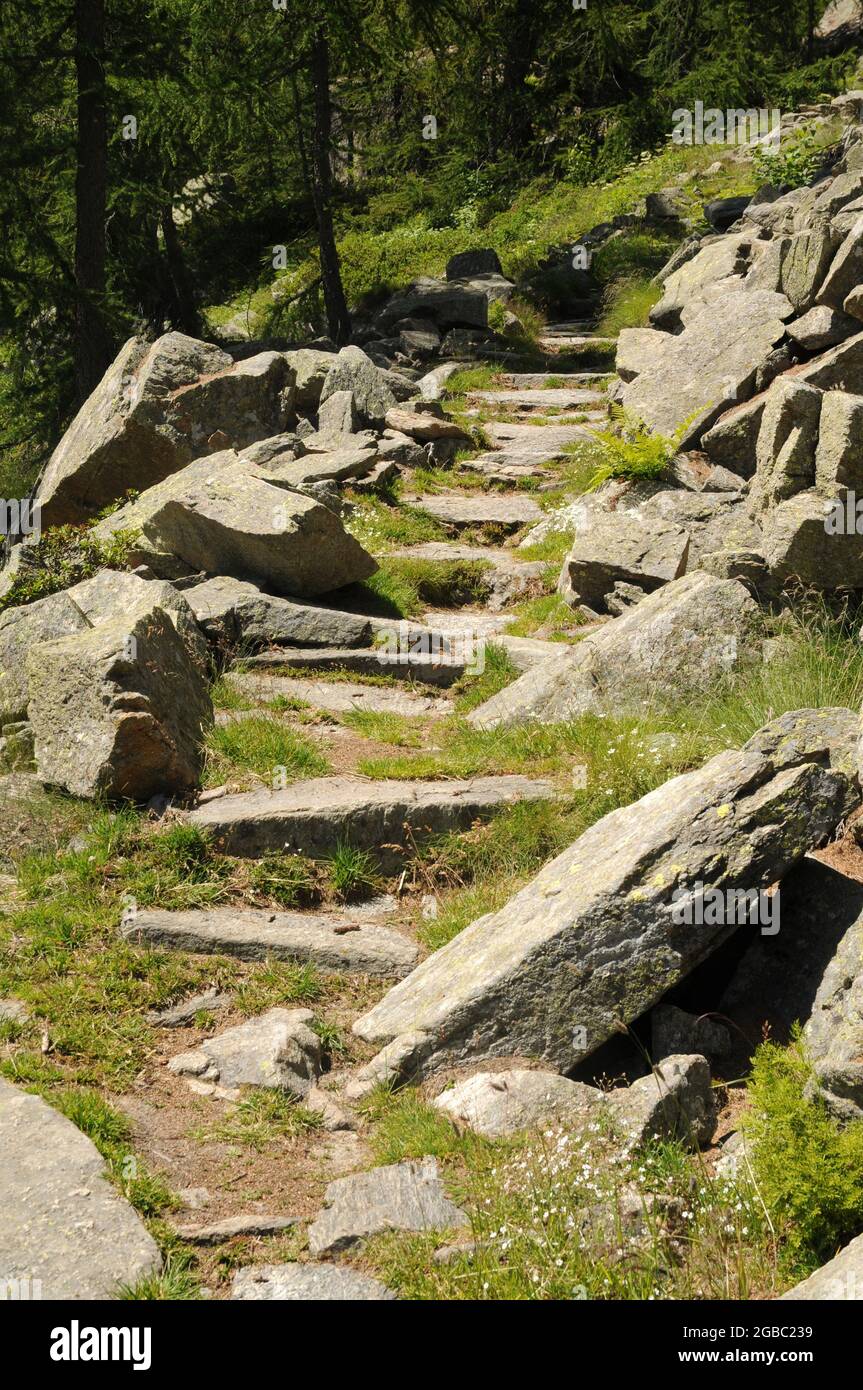 Scalini lungo il sentiero che sale da Ceresole Reale al lago di Dres nel Parco Nazionale del gran Paradiso, Italia Foto de stock