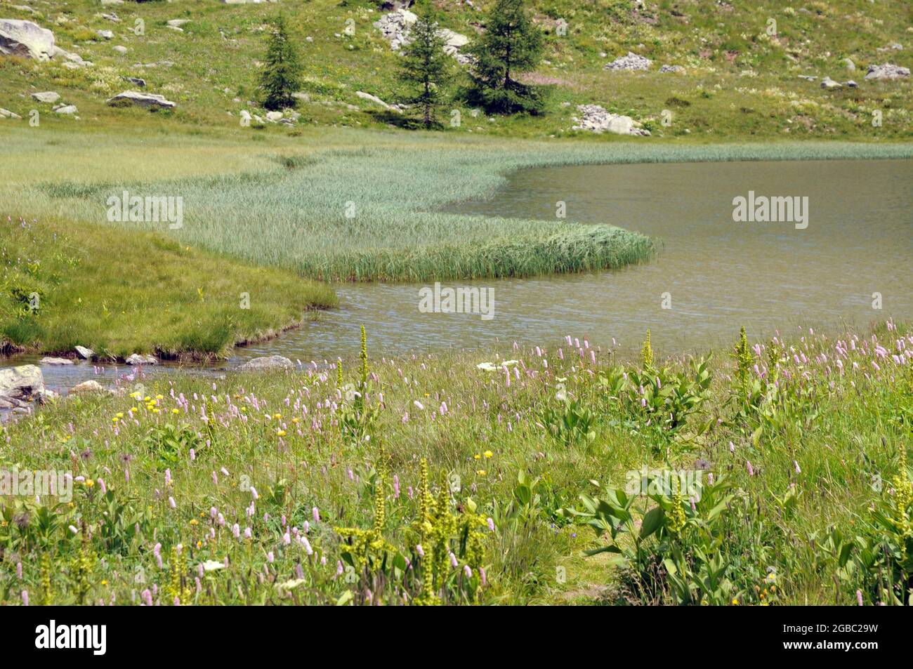 Lago di Dres en valle Orco nel Parco nazionale del Gran Paradiso, Piemonte Foto de stock