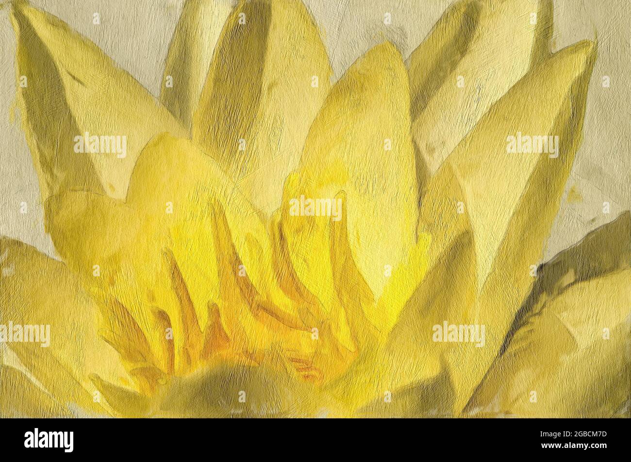 Efecto Pinterly Vista de cerca de un lirio de agua amarillo con un aspecto pintado y texturizado Foto de stock