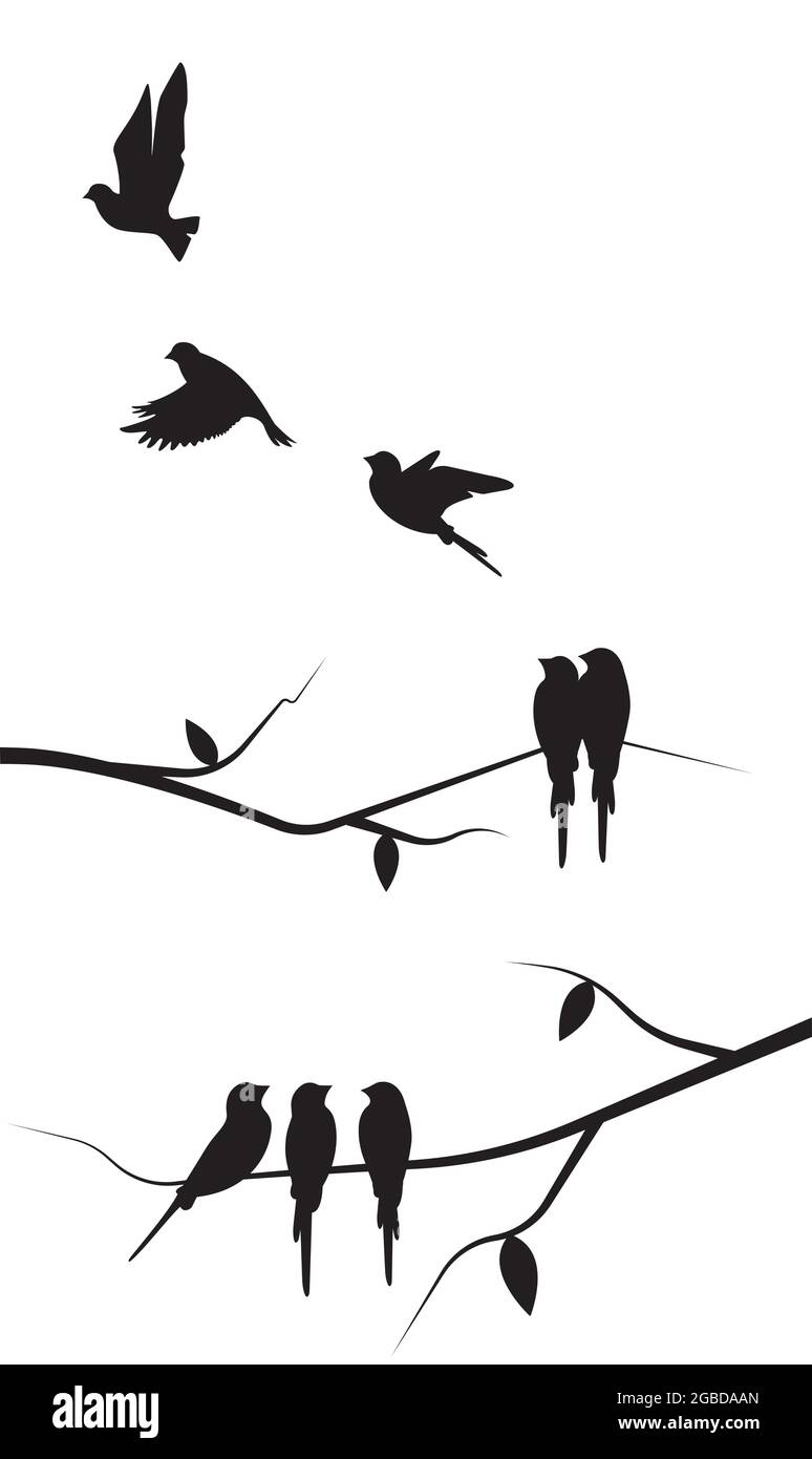 Aves volando silueta Imágenes de stock en blanco y negro - Página 2 - Alamy