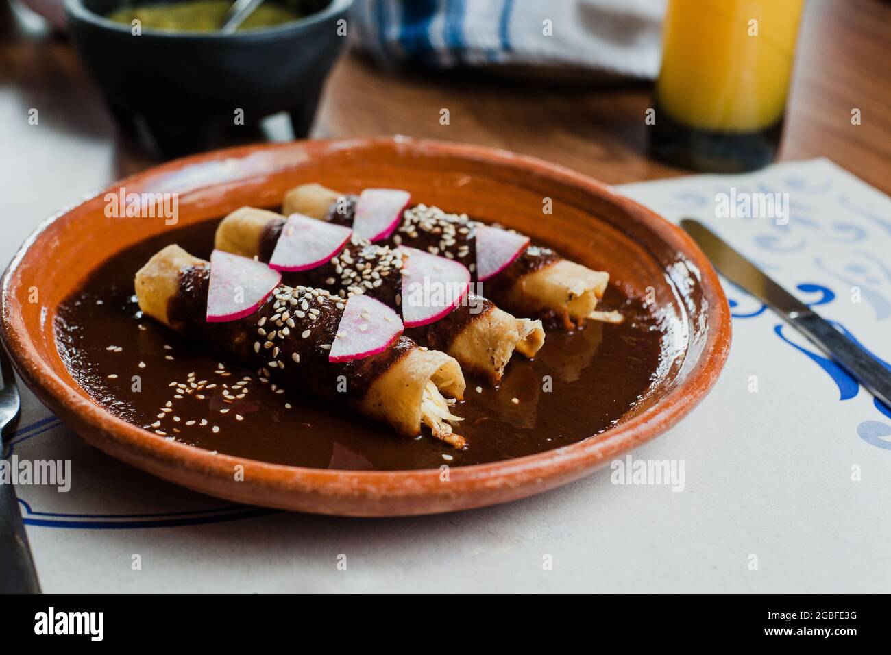 Envueltos de mole poblano o enchiladas con pollo, comida mexicana