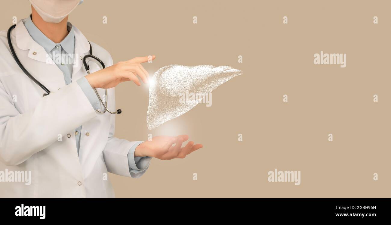 Médico mujer que sostiene dibujo volumétrico virtual del hígado en la mano. Órgano humano de la mano, espacio de copia en el lado derecho, color beige. Hospital de la salud se Foto de stock