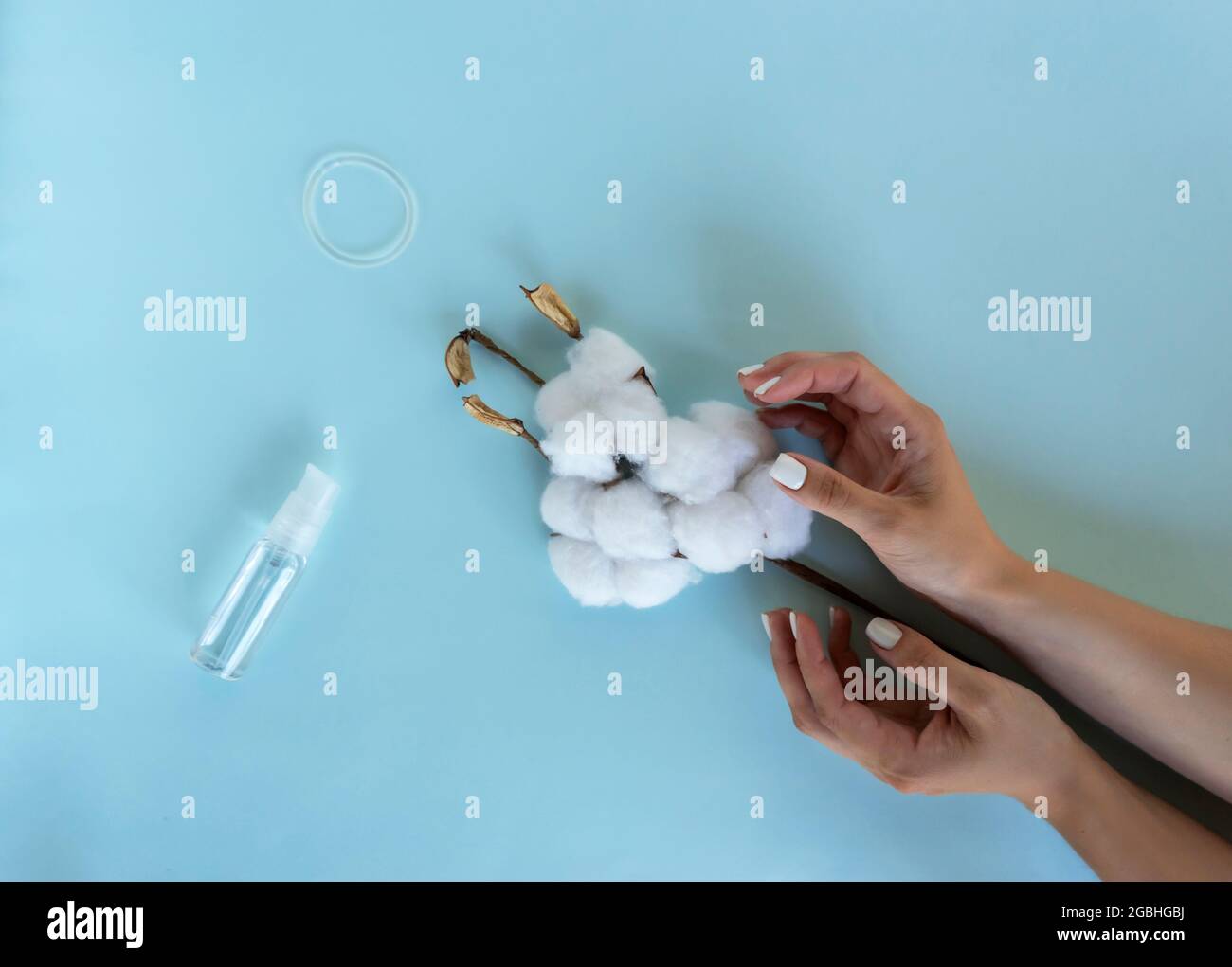 Una mujer sostiene una rama de algodón en sus manos. Cerca hay un anillo  anticonceptivo y un lubricante Fotografía de stock - Alamy