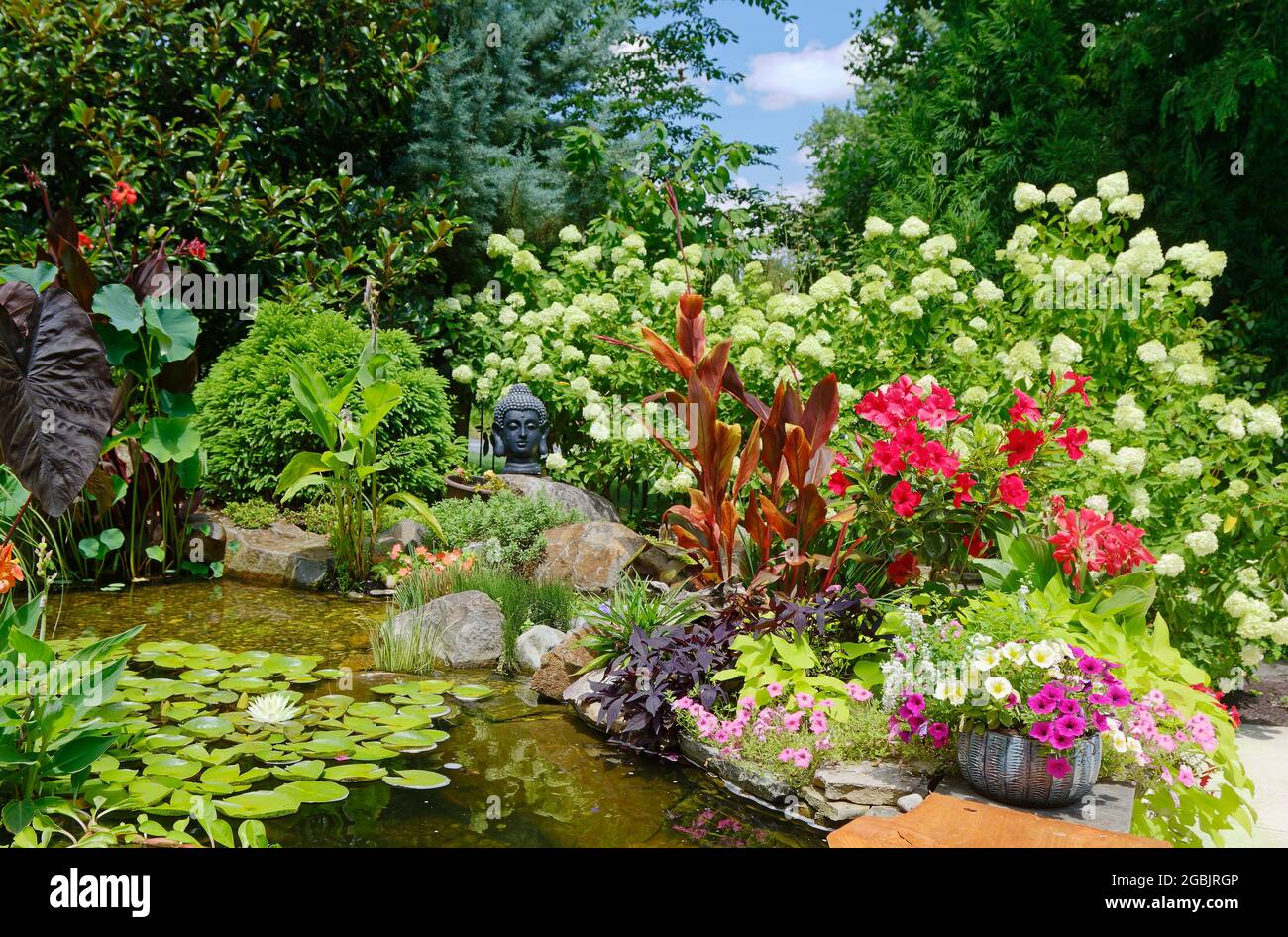 Cascada de jardín estanque de jardín con flores de agua estanque en un  patio trasero rodeado de piedra durante