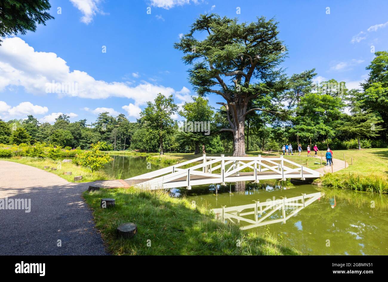 Reconstrucción del puente Wollett de madera blanca en los paisajes de Hamilton de Painthill Park, jardines paisajísticos en Cobham, Surrey, sudeste de Inglaterra, Reino Unido Foto de stock
