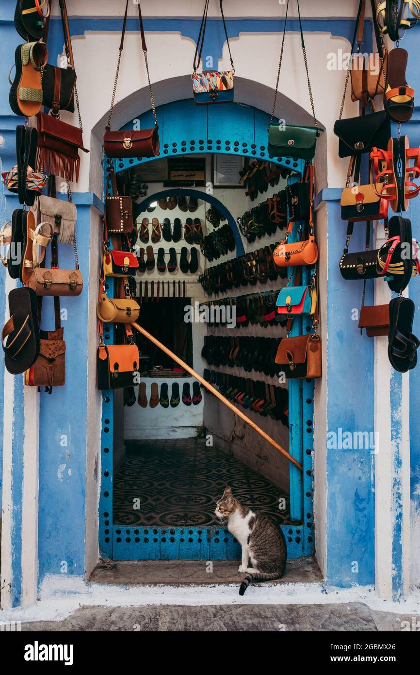 Tiro vertical un gato sentado en la puerta de una pequeña de ropa en Marruecos Fotografía de stock - Alamy