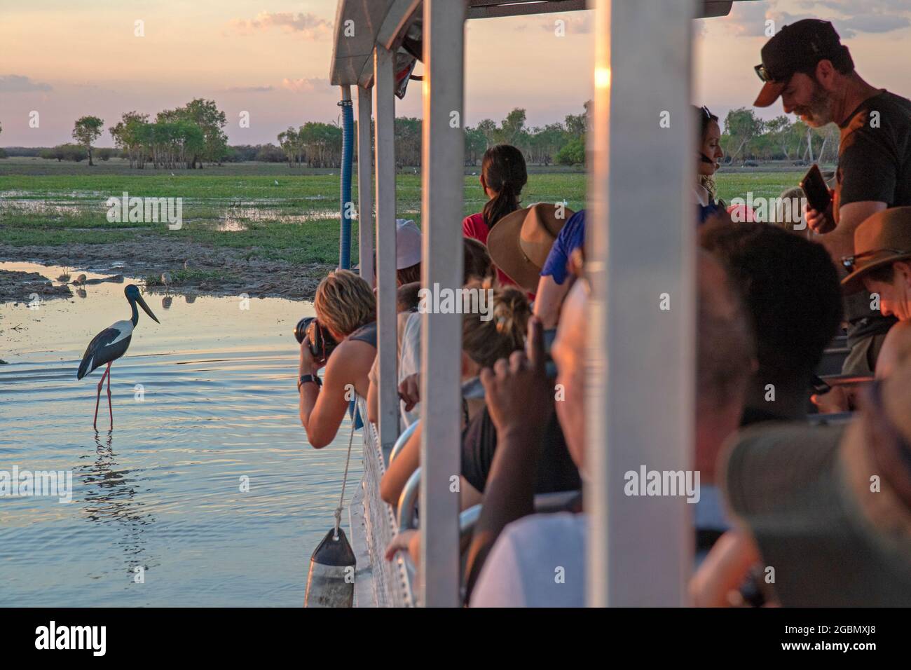 Barco turístico y jabiru en Yellow Water Foto de stock