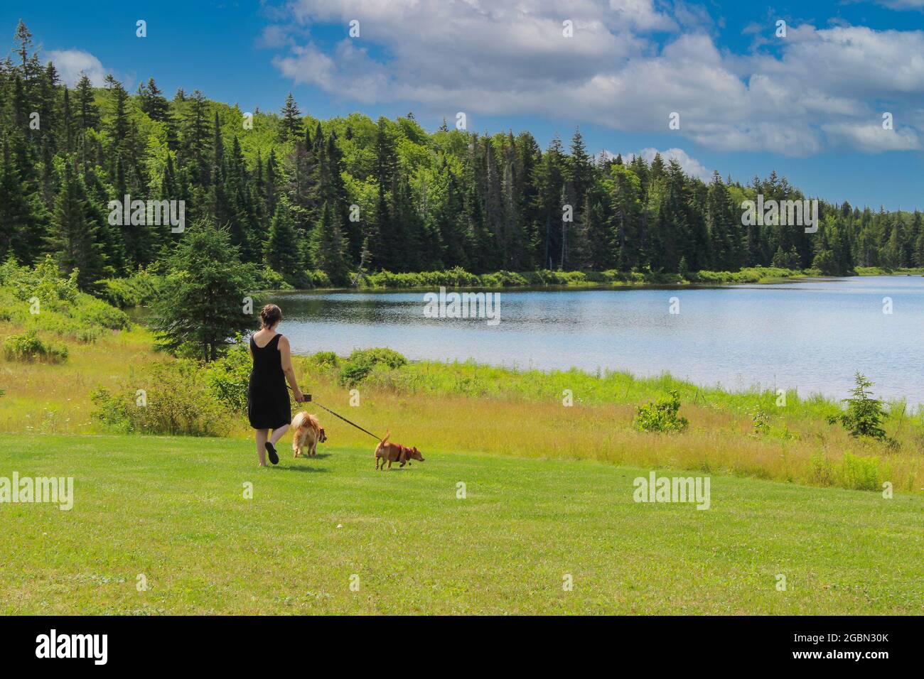 Mujer no identificada caminando dos perros pequeños en el lago Wolfe en el Parque Nacional Fundy, New Brunswick, Este de Canadá Foto de stock