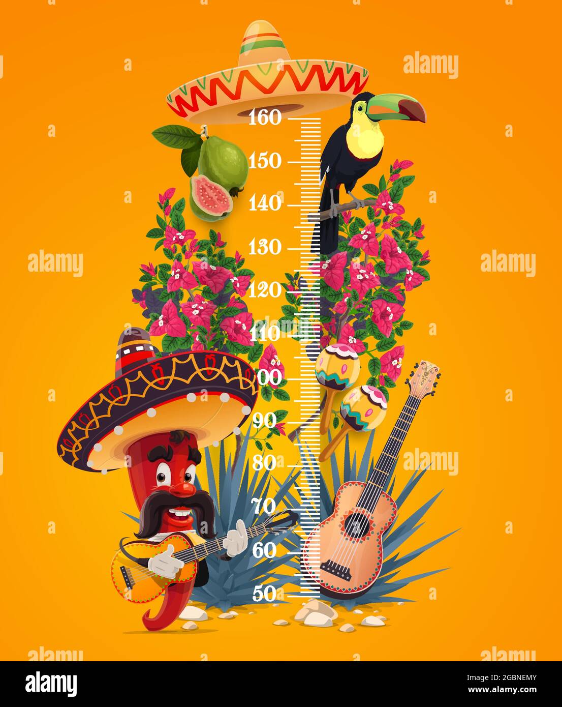 Tabla de altura para niños, medidor de crecimiento de chile mexicano con  vector de dibujos animados jalapeno mariachi con guitarra, tucán, flores de  bougainville y guayaba con ag Imagen Vector de stock -
