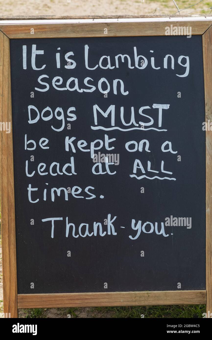 England, Hampshire, Alton, Chawton, Farm Gate Signo que indica que los perros deben mantenerse en un plomo en todo momento durante la temporada de lambing Foto de stock