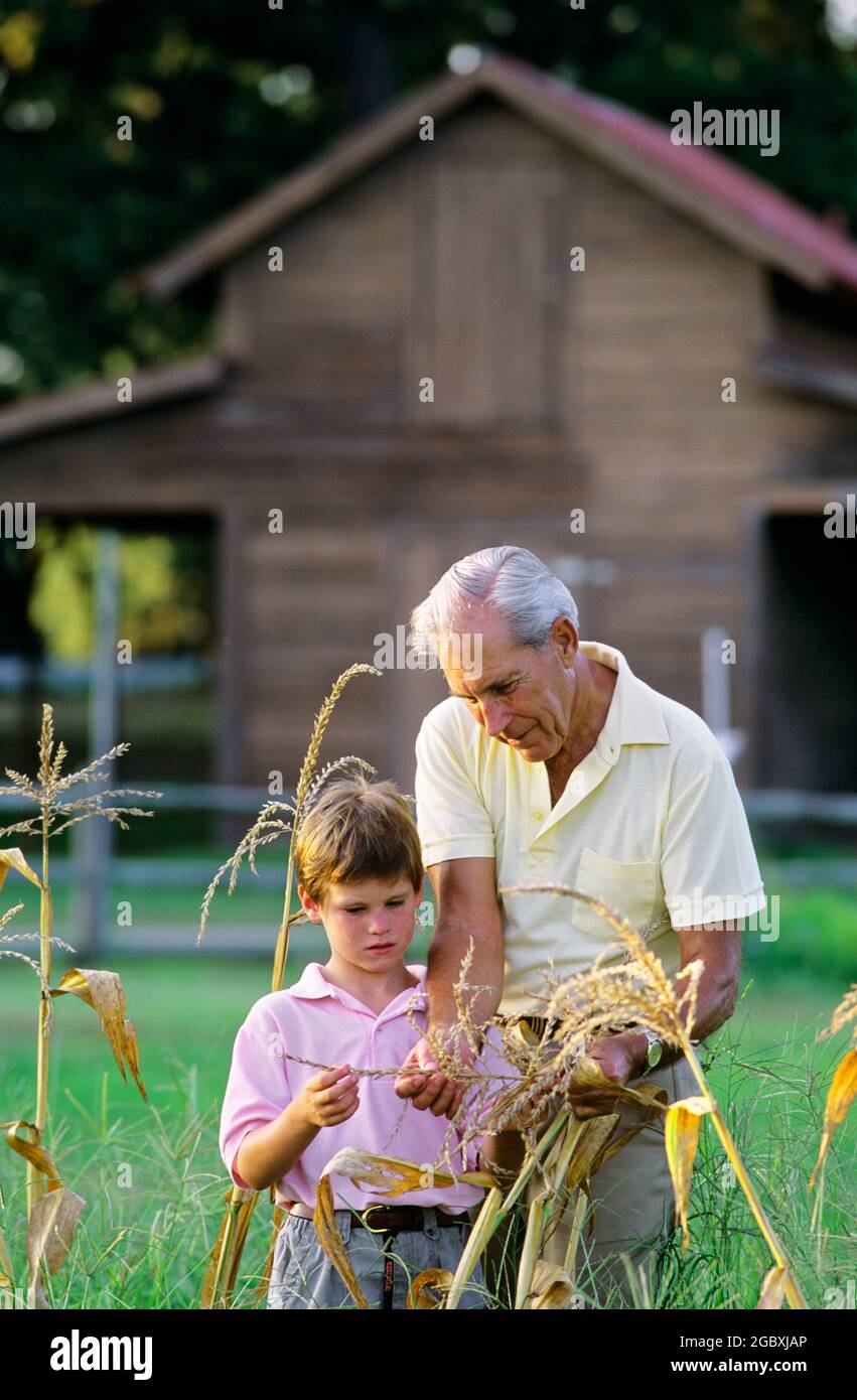 1990S HOMBRE MAYOR ABUELO GRANJERO HABLANDO CON NIÑO NIETO MIRANDO LA
