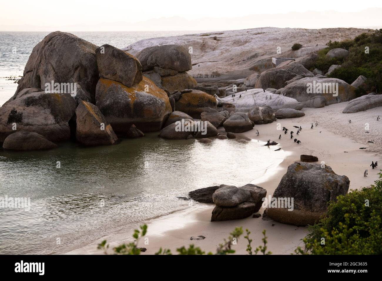 La playa Boulders, Península del Cabo, Sudáfrica Foto de stock