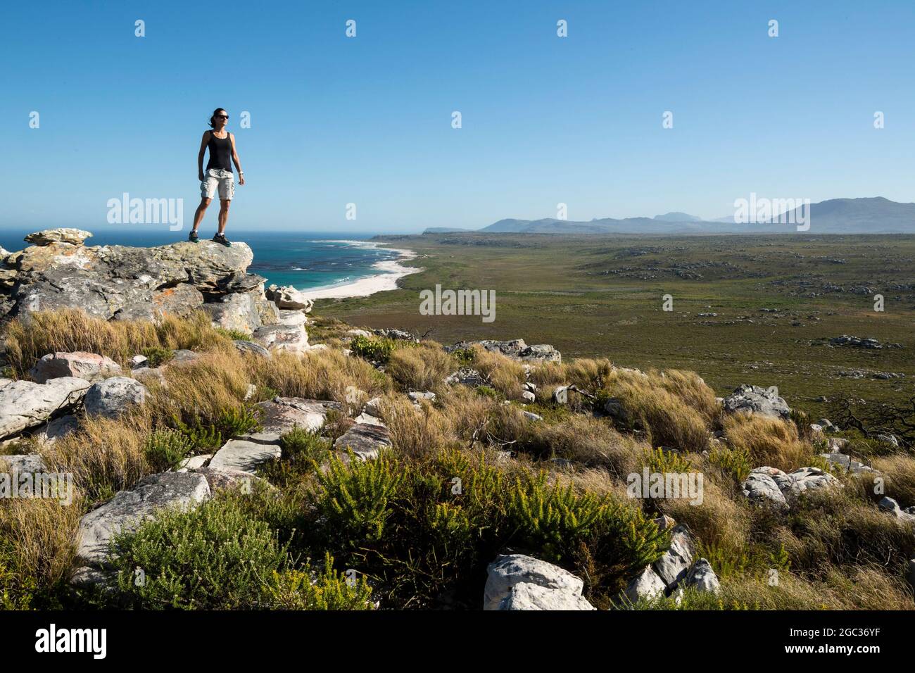 Excursionista, Reserva Natural del Cabo de Buena Esperanza, Península del Cabo, Sudáfrica Foto de stock