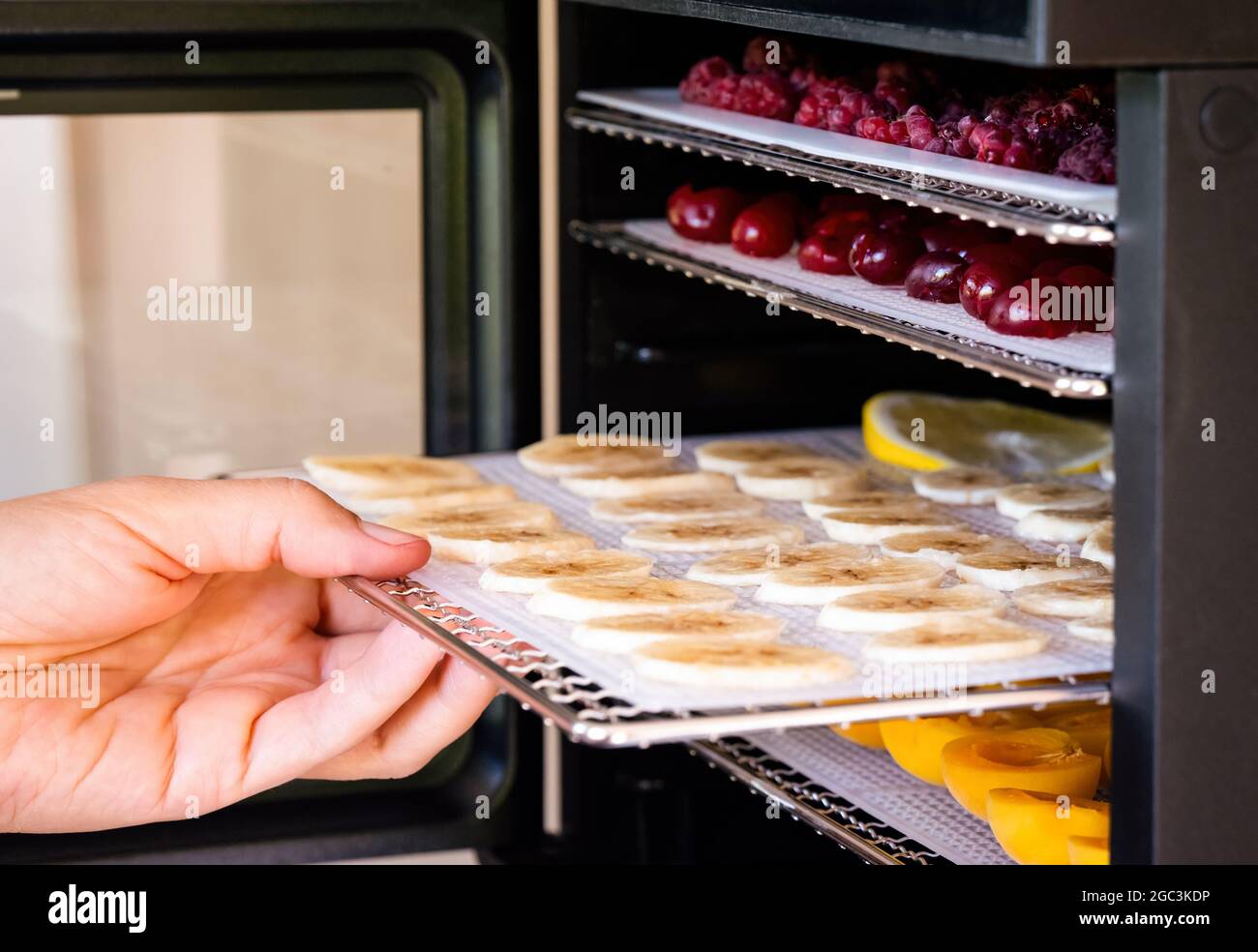 https://c8.alamy.com/compes/2gc3kdp/persona-mano-poniendo-una-bandeja-con-rodajas-de-platano-en-una-maquina-deshidratante-de-alimentos-primer-plano-2gc3kdp.jpg