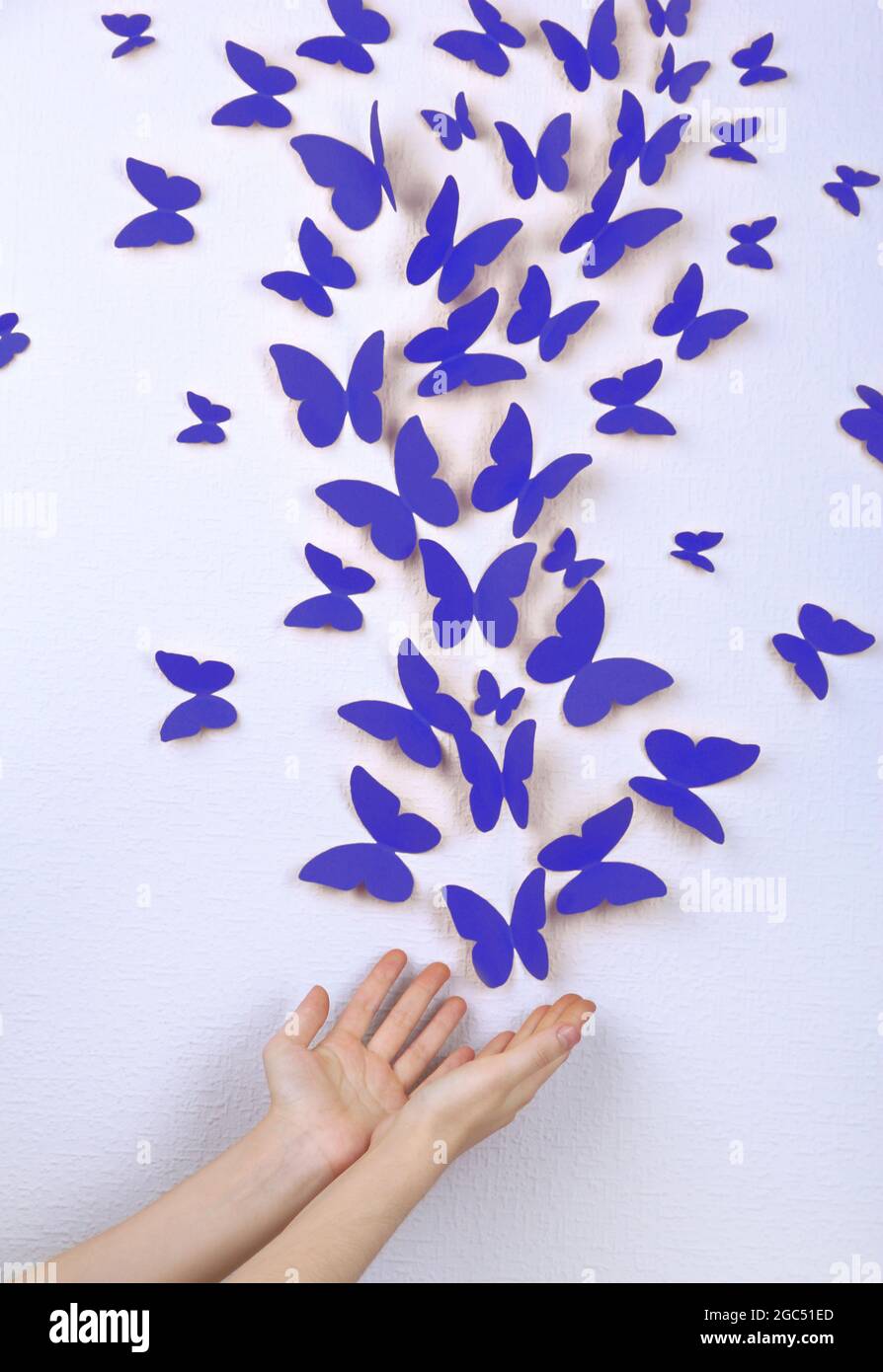 Las mariposas de papel vuelan en la pared en diferentes direcciones  Fotografía de stock - Alamy