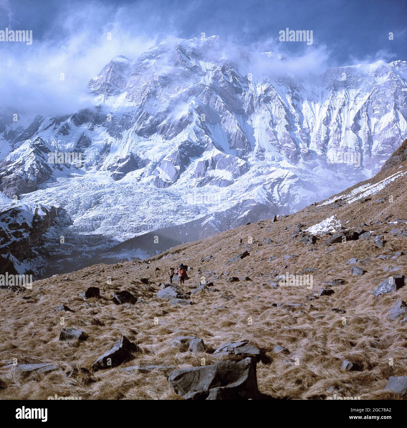 Nepal. Himalaya. La nieve alcanzó las montañas. Foto de stock