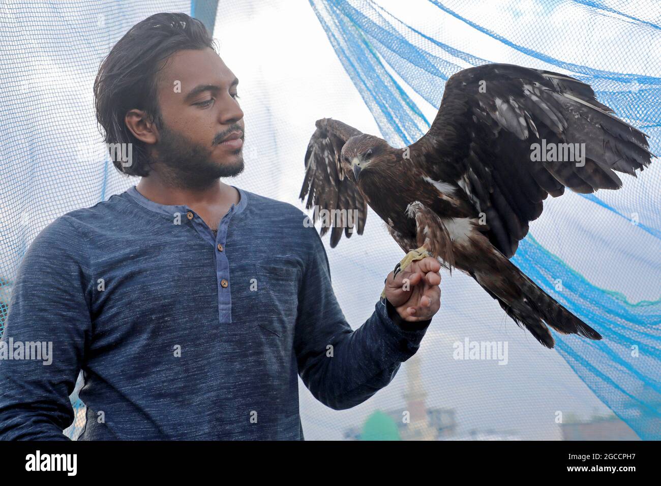 DHAKA CITY, BANGLADESH - 6 DE AGOSTO: Rafid, un residente de Nazira Bazar  en el Viejo Dhaka, ayuda a un águila a recuperarse con medicina, Rafid ha  instalado un pequeño aviario en