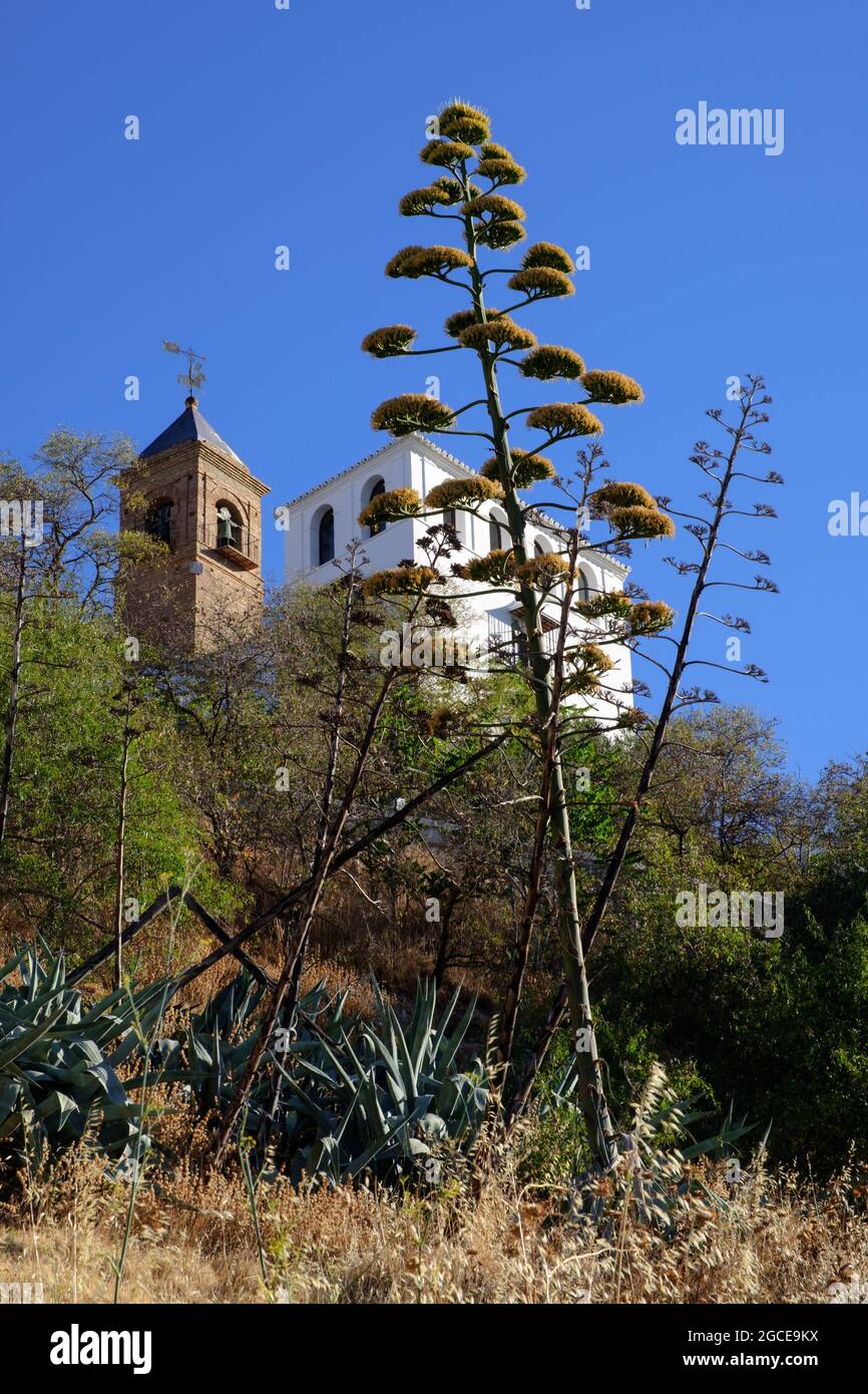 Ermita de la Virgen de la Gracia en Archidona del Castillo y del