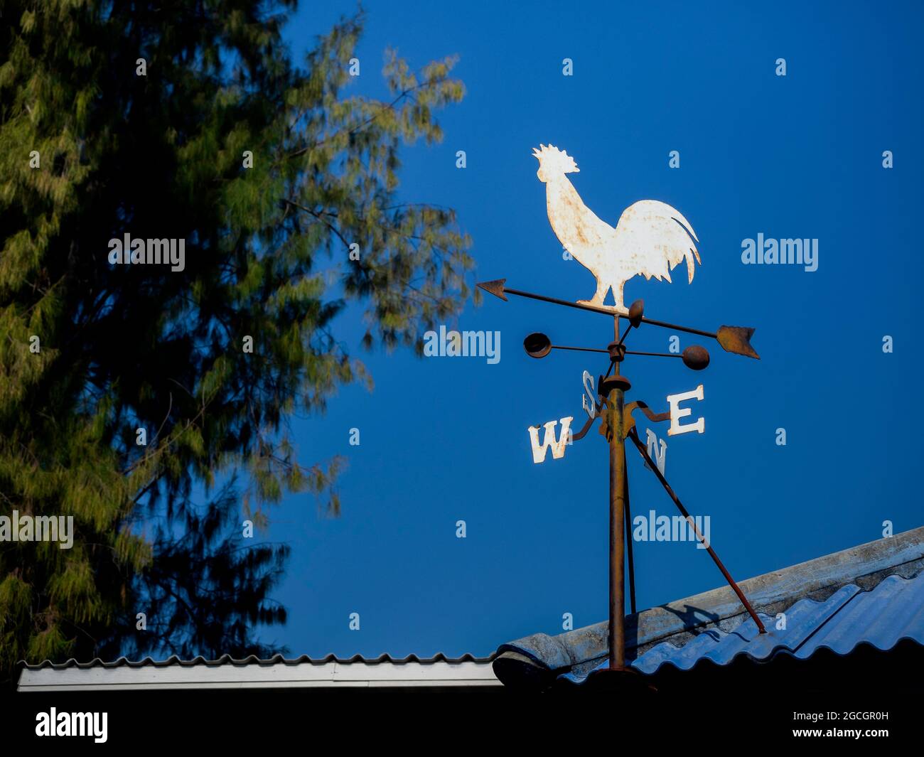 Veleta meteorológica Rooster para indicar la dirección del viento. El viejo  weathercock de la vendimia con letras para los puntos de la brújula en el  tejado cerca del árbol contra el cielo